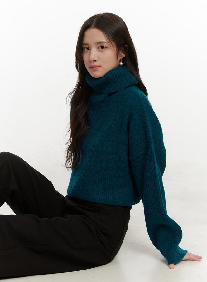 cozy-chic-crop-turtle-neck-sweater-on429 / Blue