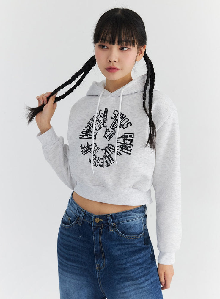 fleeced-graphic-crop-hoodie-cn301 / Light gray