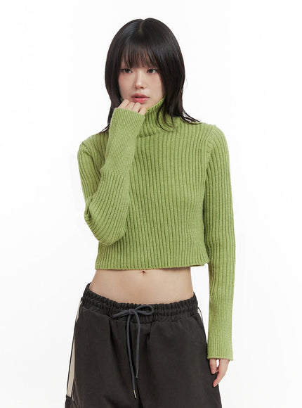 ribbed-knit-cropped-sweater-in427