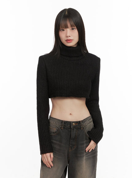 turtle-neck-cropped-sweater-cd426 / Black